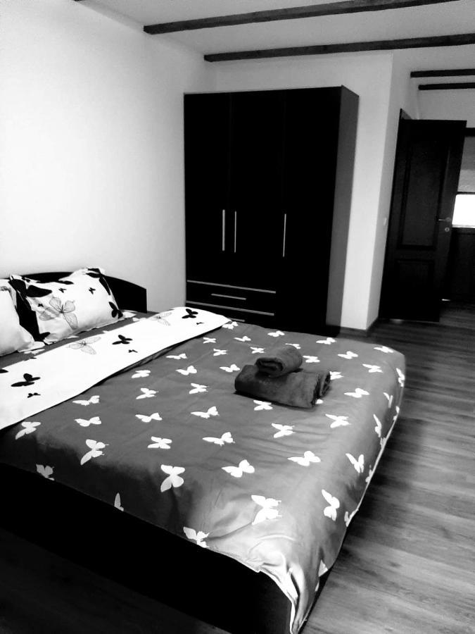 Casa De Vacanta Sadu Eksteriør billede